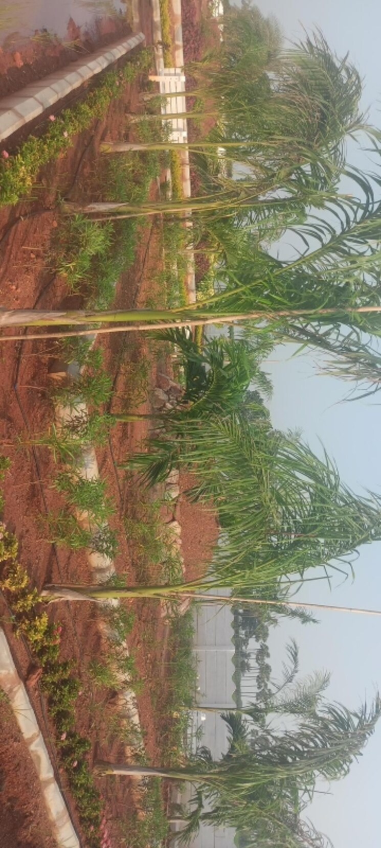 Garden, sri-bhumi-eeshaanya  250 Sq.Yd. Plot In Kankipadu Vijayawada 7781372