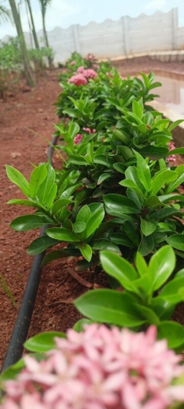  Plot – Garden View at Sri Bhumi Eeshaanya, Kankipadu - for Sale