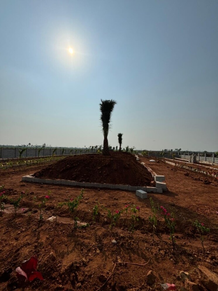 undefined, sri-bhumi-eeshaanya  600 Sq.Yd. Plot In Kankipadu Vijayawada 7781421