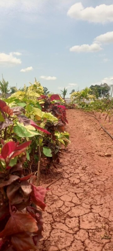  Plot – Garden View at Sri Bhumi Eeshaanya, Kankipadu - for Sale