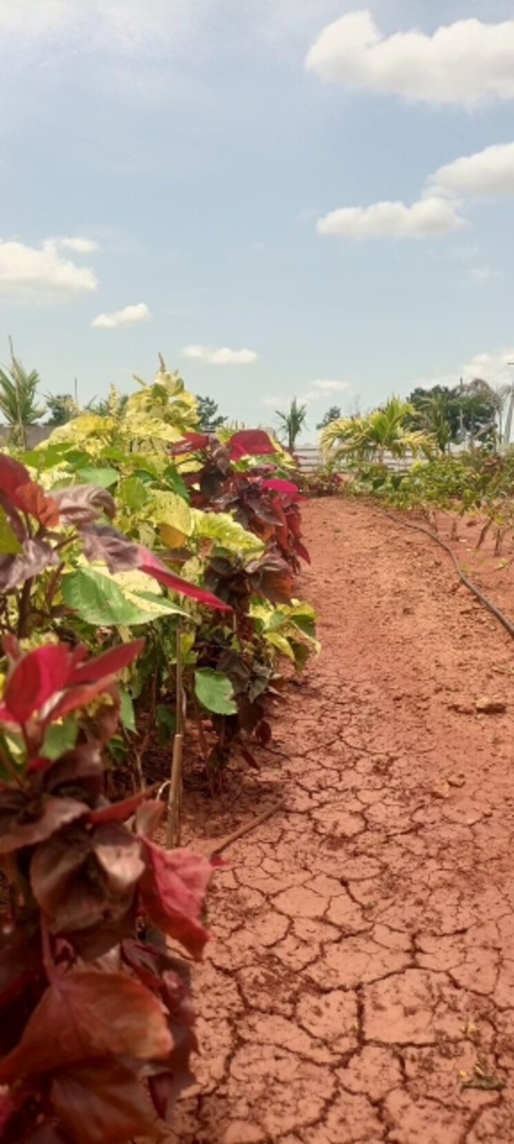 Garden, sri-bhumi-eeshaanya  600 Sq.Yd. Plot In Kankipadu Vijayawada 7781421