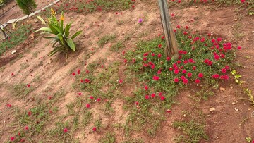  Plot – Garden View at Sri Bhumi Eeshaanya, Kankipadu - for Sale