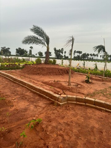 Plot Area in  Plot at Sri Bhumi Eeshaanya, Kankipadu – for Sale