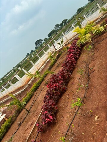  Plot – Exterior View View at Sri Bhumi Eeshaanya, Kankipadu - for Sale
