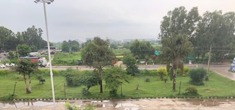 Plot For Resale in Sector 80 Mohali  7781457