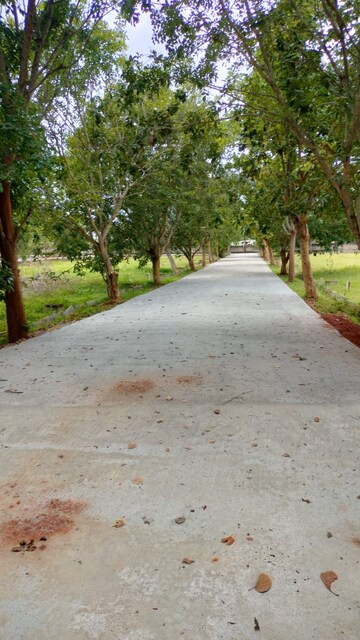  Plot – Exterior View View at Devanahalli - for Sale
