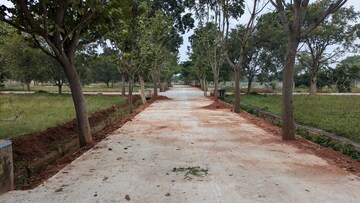 Plot Area in  Plot at Devanahalli – for Sale