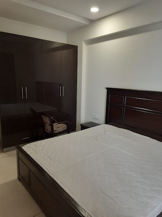 4 BHK Apartment For Rent in Exotic Grandeur Baltana Zirakpur  7781902