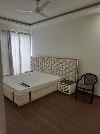 4 BHK Apartment For Rent in Exotic Grandeur Baltana Zirakpur  7781902