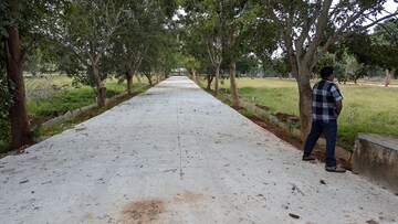  Plot – Exterior View View at Devanahalli - for Sale