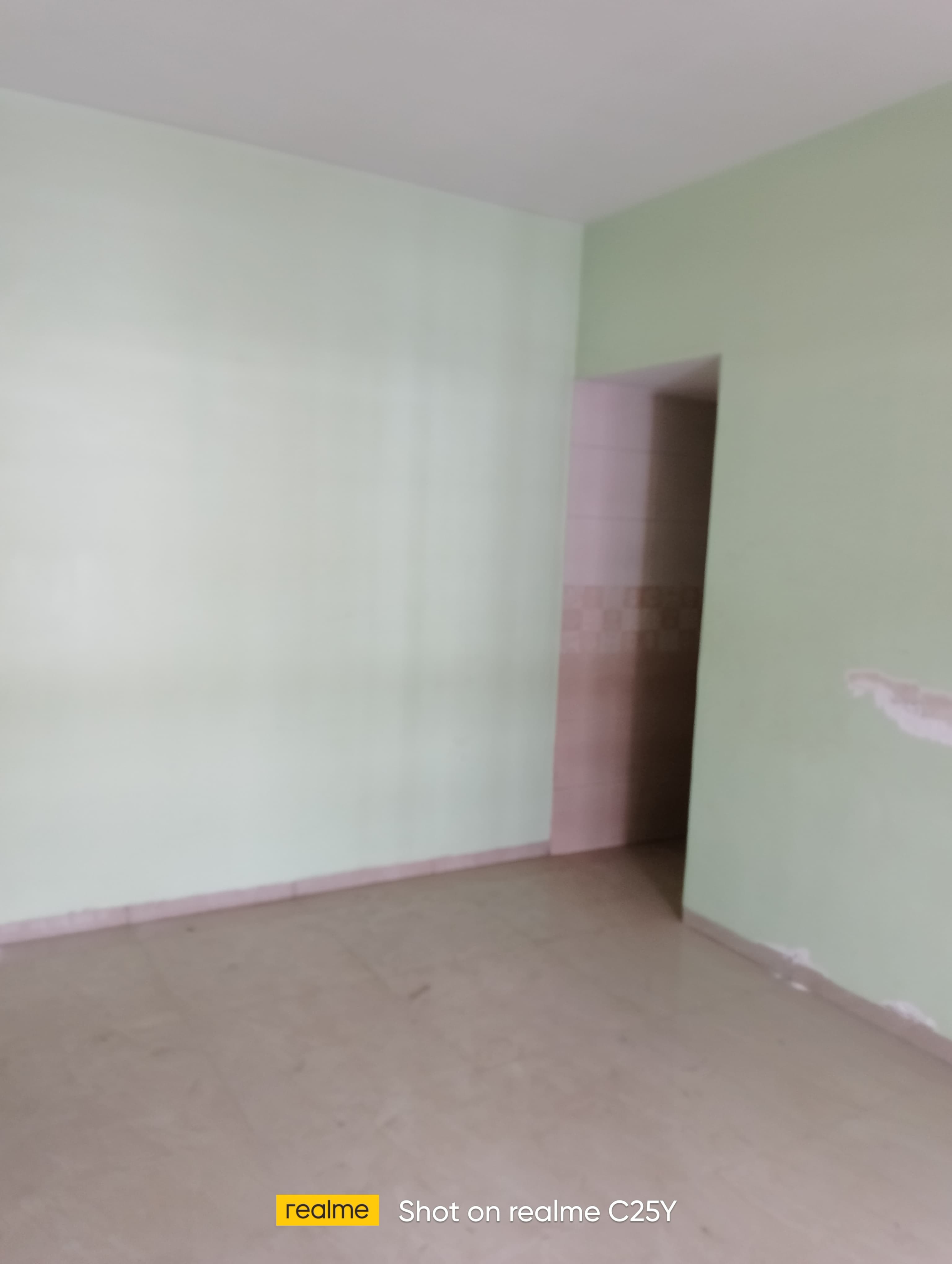 1 BHK + Pooja Room,Study Room 645 Sq.Ft. Apartment in Anchor Park Phase II