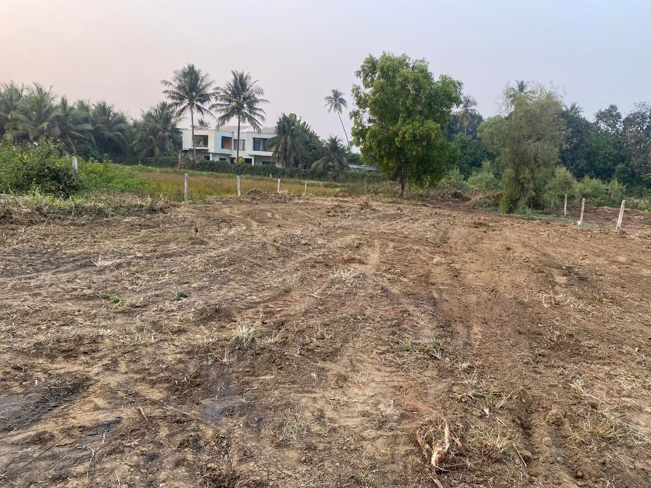 Plot For Resale in Alibag Navi Mumbai  7782732