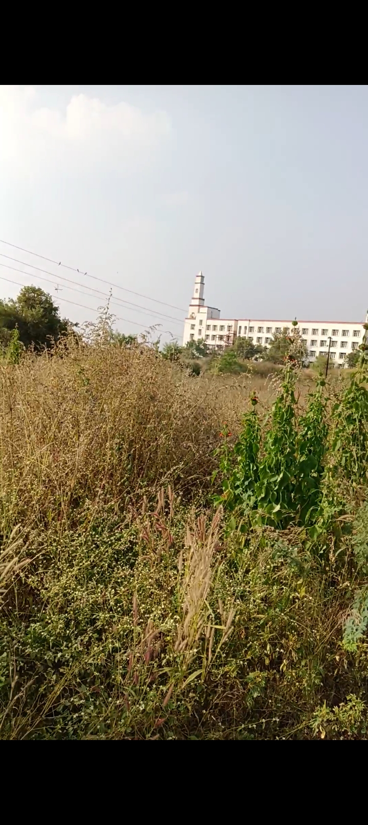 Plot For Resale in Kollur Hyderabad  7782739