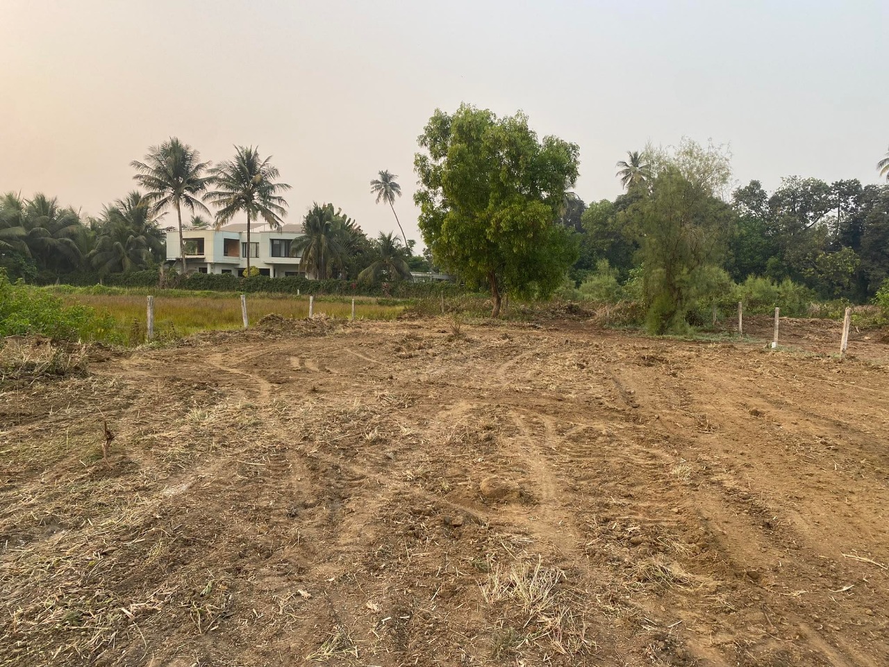 Plot For Resale in Alibag Navi Mumbai  7782743