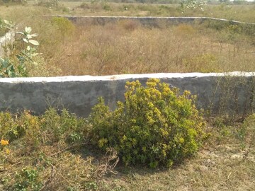 Plot Area in  Plot at Omega Ii Greater Noida – for Sale