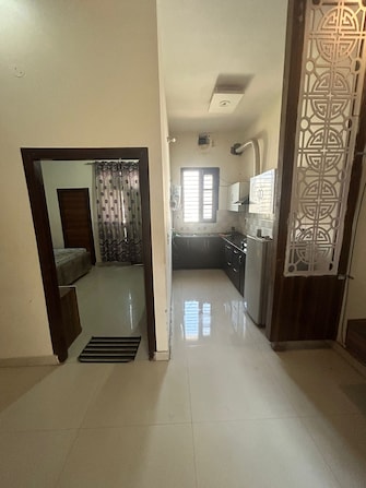 2 BHK Builder Floor For Rent in Chandigarh Airport Chandigarh  7783125