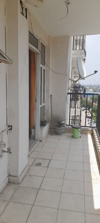 3 BHK Apartment For Rent in Niho Hi Bird Scottish Garden Ahinsa Khand ii Ghaziabad  7783218