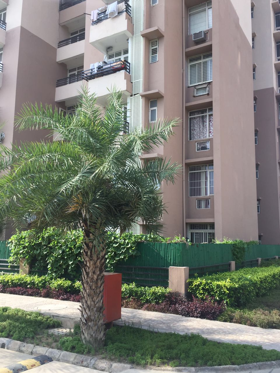 3 BHK Apartment For Rent in Today Ridge Residency Sector 135 Noida  7783248