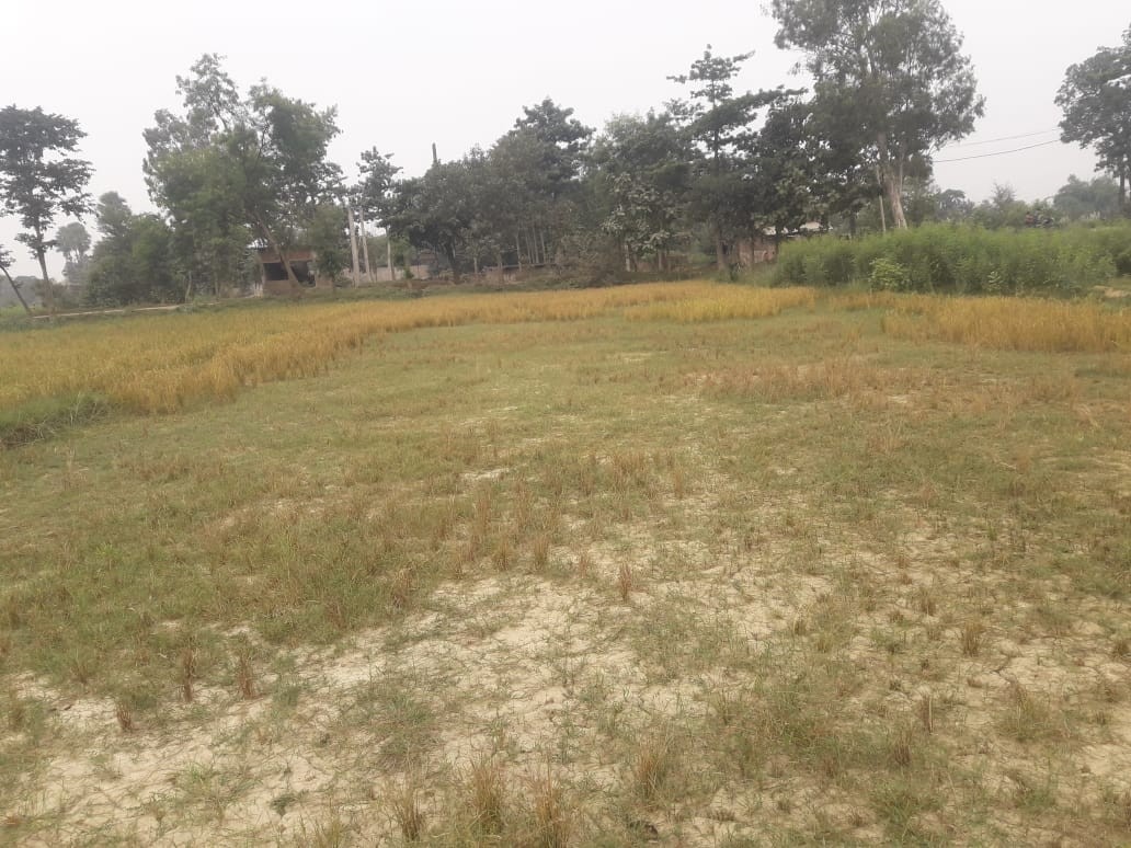 Plot For Resale in Daroga Tola Motihari  7783546