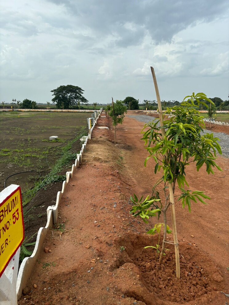 undefined, sri-bhumi-eeshaanya  184 Sq.Yd. Plot In Kankipadu Vijayawada 7783644
