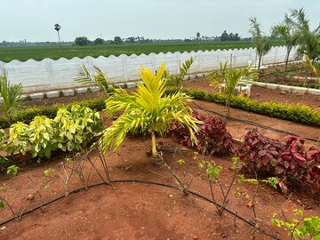 2 BHK Independent House – Garden View at Sri Bhumi Eeshaanya, Kankipadu - for Sale
