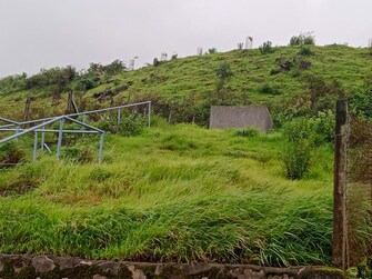 Plot For Resale in Sairung City Hinjewadi Pune  7784356