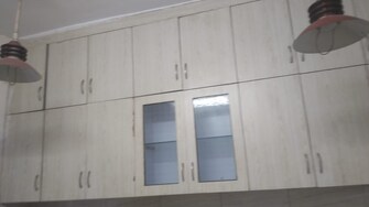 2 BHK Apartment For Rent in Sector 20 Noida  7784388