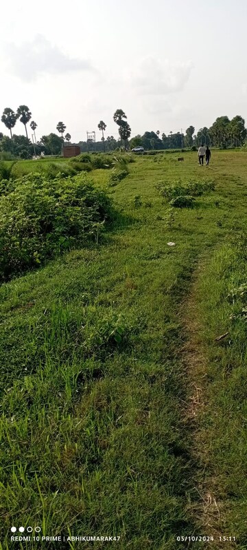 Plot Area in  Plot at Bihta – for Sale