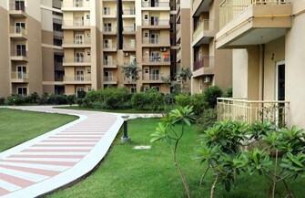 2 BHK Apartment For Resale in Paramount Emotions Sector 1 Greater Noida Greater Noida  7784581