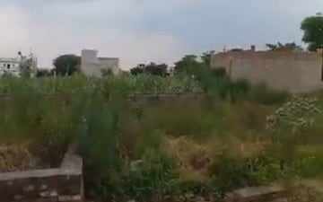 Plot For Sale in Madhuban Bapudham
