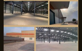 Commercial Warehouse 75000 Sq.Ft. For Rent in Solra Palwal  7785112