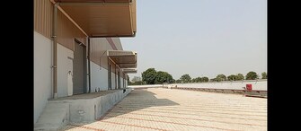 Commercial Warehouse 75000 Sq.Ft. For Rent in Solra Palwal  7785112