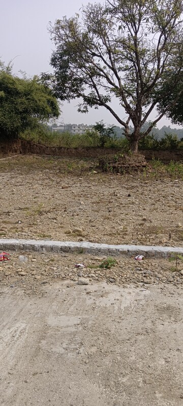 Plot Area in  Plot at Dehradun Cantt – for Sale