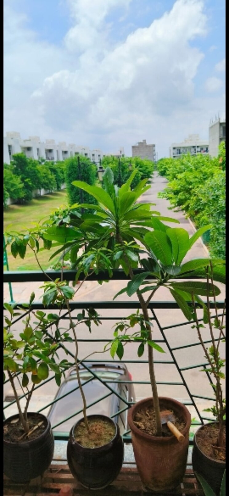 Garden, central-park-flower-valley 3 Bedroom 1274 Sq.Ft. Apartment In Sohna Sector 33 Gurgaon 7785656