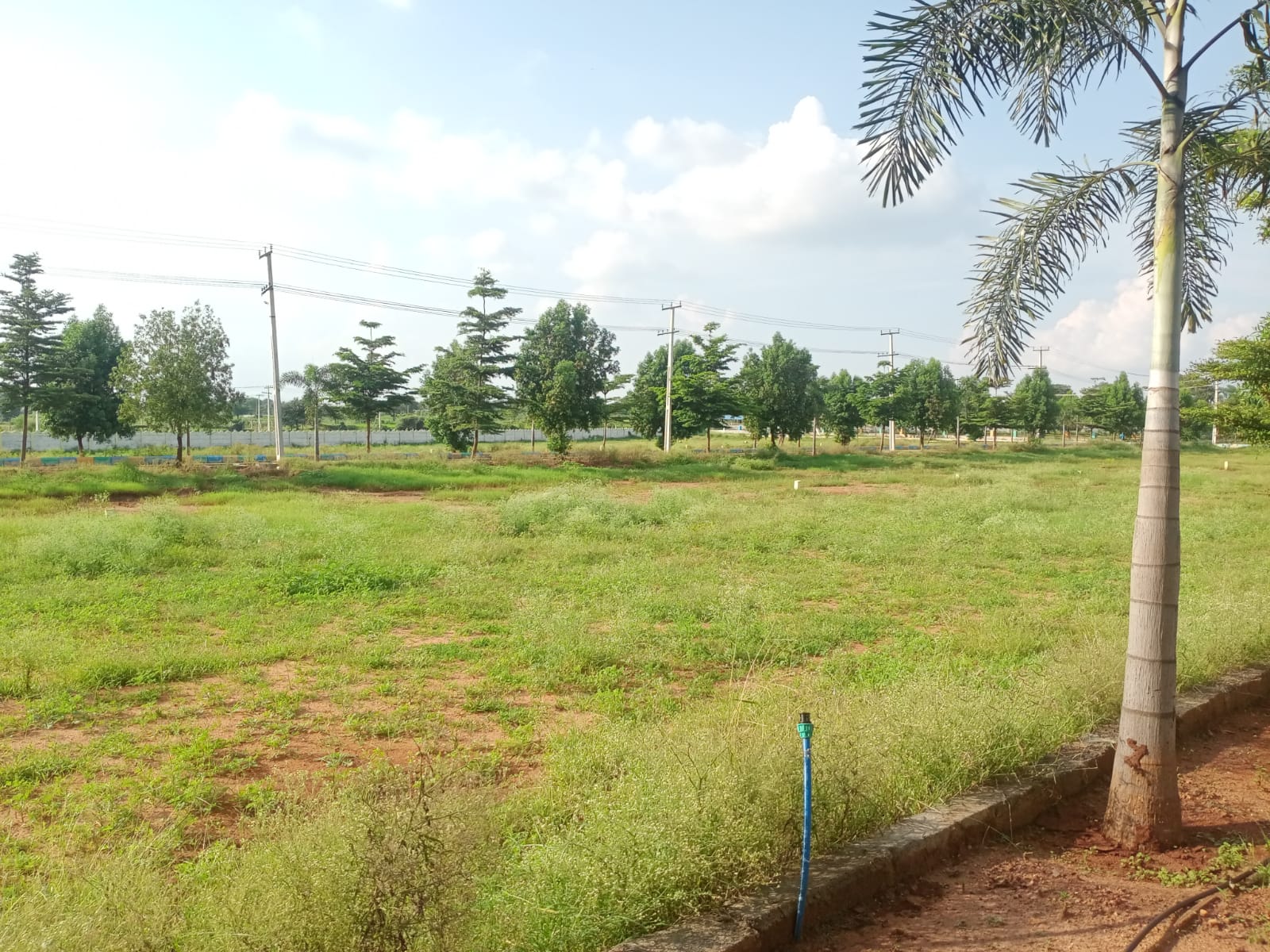 Plot For Resale in Kothur Hyderabad  7785822