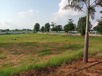 Plot For Resale in Kothur Hyderabad  7785875