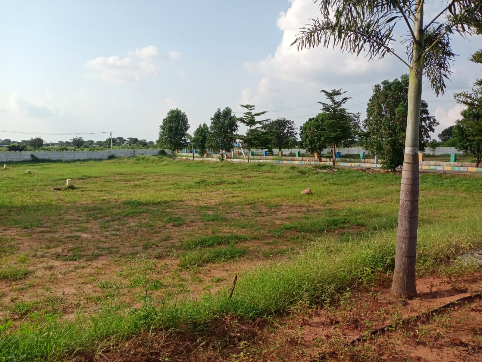 Plot For Resale in Kothur Hyderabad  7785875