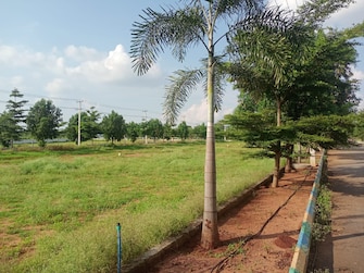 Plot For Resale in Kothur Hyderabad  7785875