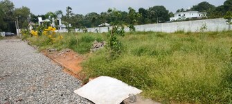 Plot For Resale in Kechery Thrissur  7785974