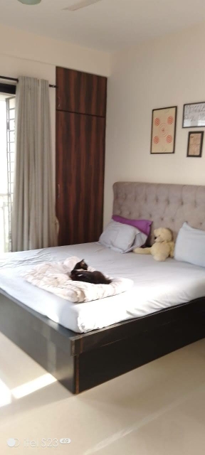 3 BHK Apartment For Sale in Pricel Holm