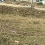 100 Sq.Yd. Plot in Sector 115