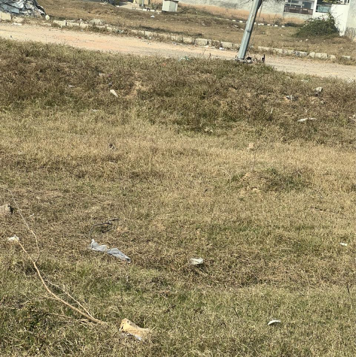 Plot For Sale in Sector 115