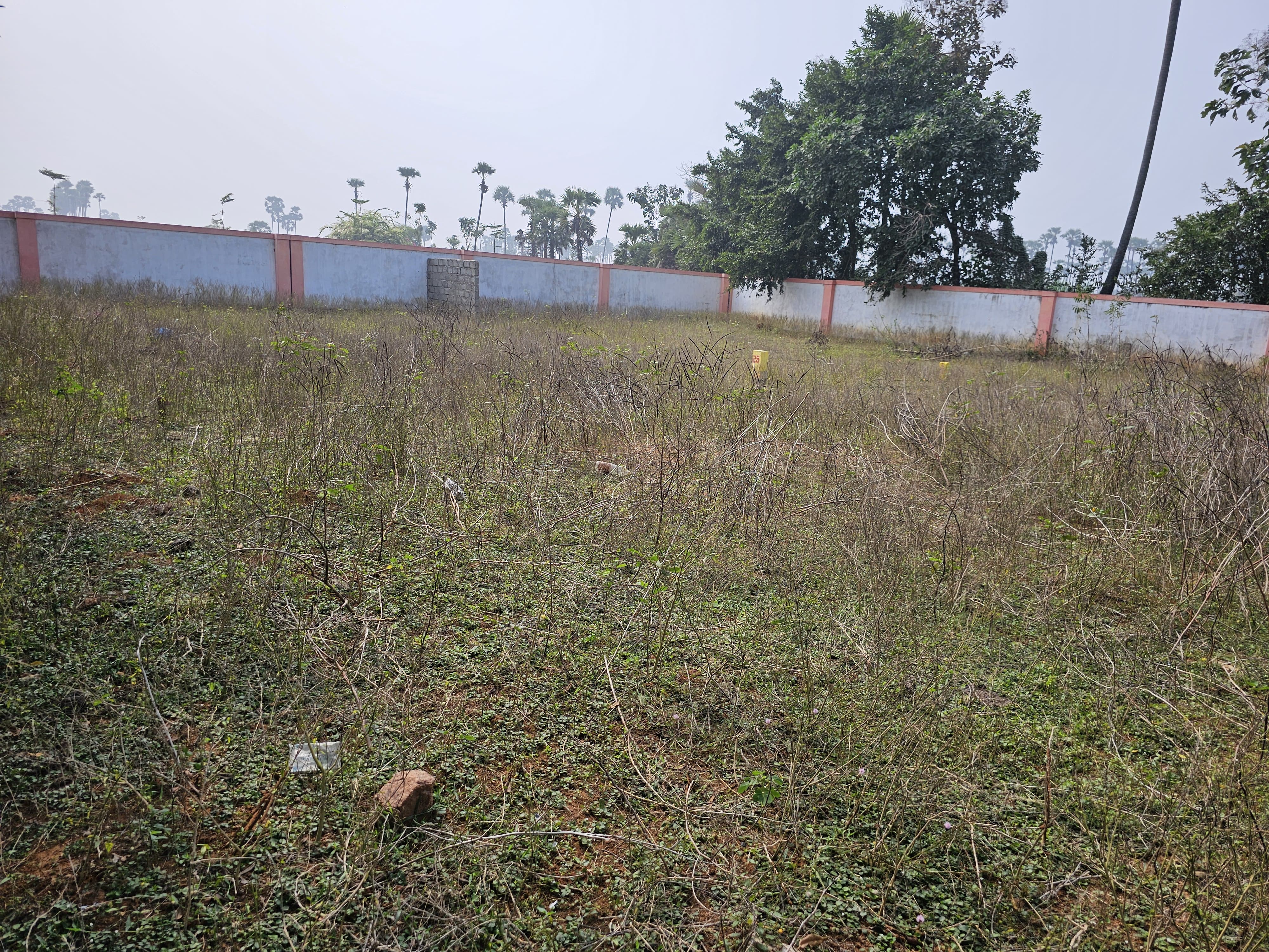 Plot For Resale in Bhogapuram Vizag  7787002