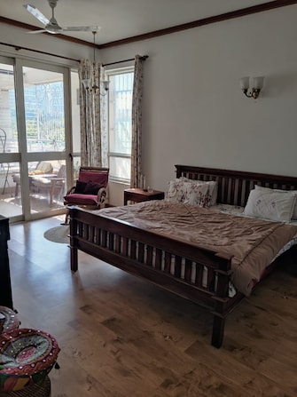 3 BHK Apartment For Rent in Jaypee Kalypso Court Sector 128 Noida  7787026