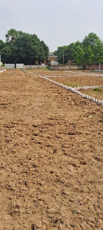 Plot Area in  Plot at Bihta – for Sale
