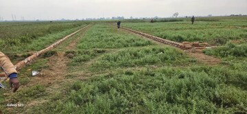 Plot Area in  Plot at Bihta – for Sale