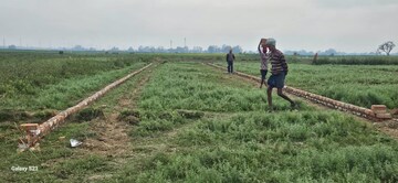 Plot Area in  Plot at Shivala Par – for Sale