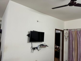 2 BHK Apartment For Rent in Brigade Parkside East Sarjapur Road Bangalore  7787227