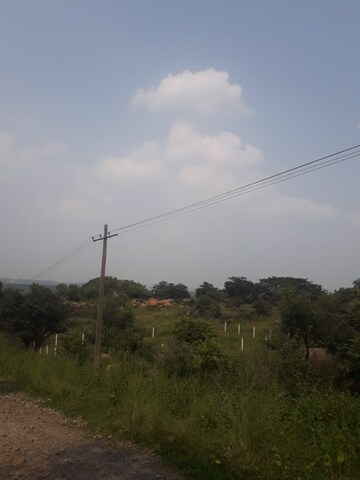 Plot Area in  Plot at Tatti Annaram – for Sale