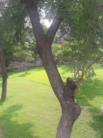  Plot – Garden View at Tatti Annaram - for Sale